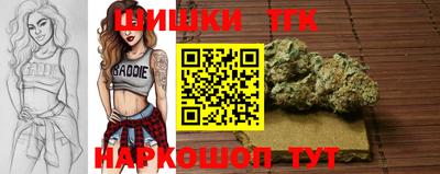 индика Апрелевка