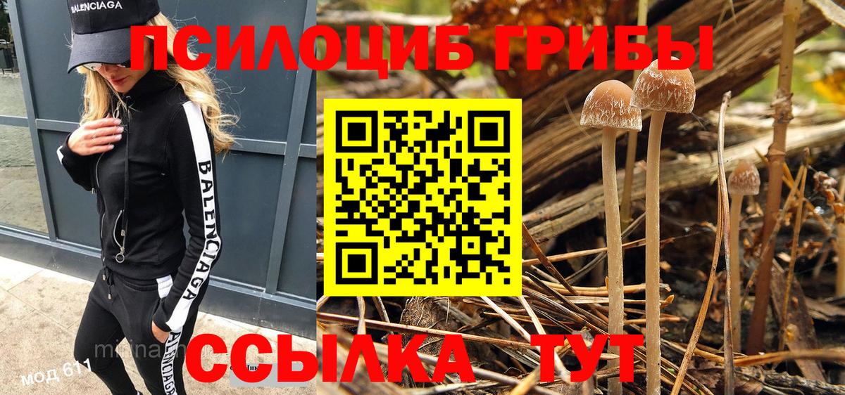 Псилоцибиновые грибы Cubensis Ачинск